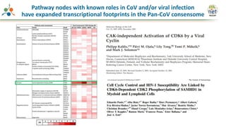 Pathway nodes with known roles in CoV and/or viral infection
have expanded transcriptional footprints in the Pan-CoV consensome
 