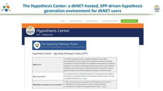 The Hypothesis Center: a dkNET-hosted, SPP-driven hypothesis
generation environment for dkNET users
 