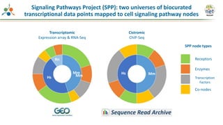 Transcriptomic
Expression array & RNA-Seq
Cistromic
ChIP-Seq
Receptors
Enzymes
Transcription
Factors
Co-nodes
Signaling Pathways Project (SPP): two universes of biocurated
transcriptional data points mapped to cell signaling pathway nodes
SPP node types
Hs
Mm
Rn
Hs
Mm Mm
 