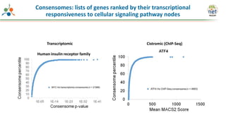 Consensomes: lists of genes ranked by their transcriptional
responsiveness to cellular signaling pathway nodes
Transcriptomic Cistromic (ChIP-Seq)
Human insulin receptor family
 