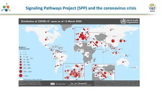 Signaling Pathways Project (SPP) and the coronavirus crisis
 