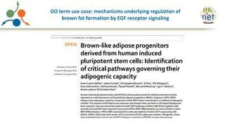 GO term use case: mechanisms underlying regulation of
brown fat formation by EGF receptor signaling
 