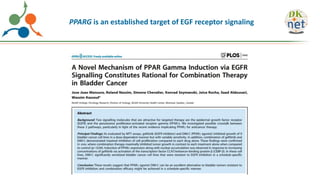 PPARG is an established target of EGF receptor signaling
 