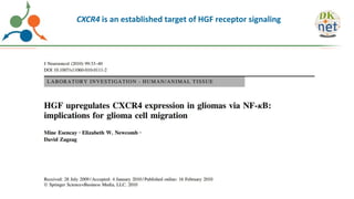 CXCR4 is an established target of HGF receptor signaling
 