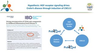 HGF
receptor
family
CXCL11
Crohn’s
Disease
Hypothesis: HGF receptor signaling drives
Crohn’s disease through induction of CXCL11
 