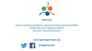 Thank you
National Institute of Diabetes, Digestive & Kidney Diseases (NIDDK)
NIDDK Information Network (dkNET)
American Thyroid Association
www.signalingpathways.org
@sigpathproject
 
