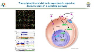 Transcriptomic and cistromic experiments report on
distinct events in a signaling pathway
 