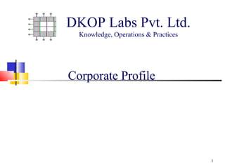 DKOP Labs Pvt. Ltd.
  Knowledge, Operations & Practices




Corporate Profile




                                      1
 