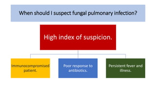 When should I suspect fungal pulmonary infection?
High index of suspicion.
Immunocompromised
patient.
Poor response to
antibiotics.
Persistent fever and
illness.
 