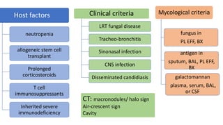 Host factors
neutropenia
allogeneic stem cell
transplant
Prolonged
corticosteroids
T cell
immunosuppressants
Inherited severe
immunodeficiency
Clinical criteria
LRT fungal disease
Tracheo-bronchitis
Sinonasal infection
CNS infection
Disseminated candidiasis
Mycological criteria
antigen in
sputum, BAL, PL EFF,
BX
galactomannan
plasma, serum, BAL,
or CSF
fungus in
PL EFF, BX
CT: macronodules/ halo sign
Air-crescent sign
Cavity
 