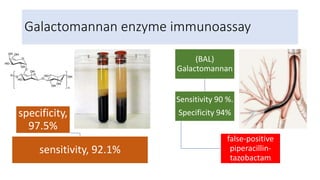 Galactomannan enzyme immunoassay
specificity,
97.5%
sensitivity, 92.1%
(BAL)
Galactomannan
Sensitivity 90 %.
Specificity 94%
false-positive
piperacillin-
tazobactam
 