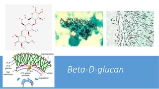 Beta-D-glucan
 