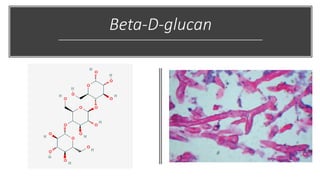 Beta-D-glucan
 