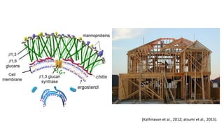 (Kathiravan et al., 2012; atsumi et al., 2013).
 