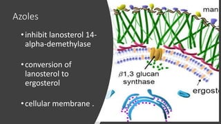 Azoles
•inhibit lanosterol 14-
alpha-demethylase
•conversion of
lanosterol to
ergosterol
•cellular membrane .
 
