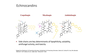 AnidulafunginCaspofungin Micafungin
Adapted from Micafungin US Prescribing Information; Anidulafungin US Prescribing Information; Debono M, Gordee RS. Annu Rev Microbiol.
1994;48:471–497; Debono M et al. J Med Chem. 1995;38:3271–3281.
Echinocandins
N
O
O
O
NH
O
H
H
H H
O
H
CH3
O
O
H2N
OH
NH
HO
H2N
HO NH
H
N
OH
OH
HN OH
N
H
HO
H3C
CH3 CH3
O
O
O
N
O
O
HN
N
O
O
O
O
O
N
O
H3C
S
O
O
HO
OH
HO
HO
OH
H
N
NH
NH
H3C
H2N
HO
HO
OH
NH
OH
OH
CH3
O
O
N
H3C
O
N
O
O
O
O
O
HO
HO
HO
OH
H
N
NH
OH
HO
HO OH
NH
HN
CH3
OH
NH
H3C
H3C
• Side chains are key determinants of lipophilicity, solubility,
antifungal activity, and toxicity
 