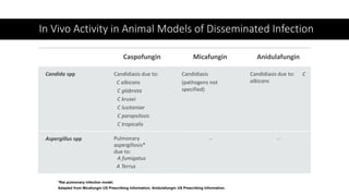 In Vivo Activity in Animal Models of Disseminated Infection
*Rat pulmonary infection model.
Adapted from Micafungin US Prescribing Information; Anidulafungin US Prescribing Information.
Caspofungin Micafungin Anidulafungin
Candida spp Candidiasis due to:
C albicans
C glabrata
C krusei
C lusitaniae
C parapsilosis
C tropicalis
Candidiasis
(pathogens not
specified)
Candidiasis due to: C
albicans
Aspergillus spp Pulmonary
aspergillosis*
due to:
A fumigatus
A Terrus
– –
 