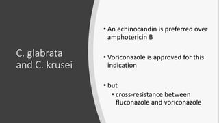 C. glabrata
and C. krusei
• An echinocandin is preferred over
amphotericin B
• Voriconazole is approved for this
indication
• but
• cross-resistance between
fluconazole and voriconazole
 