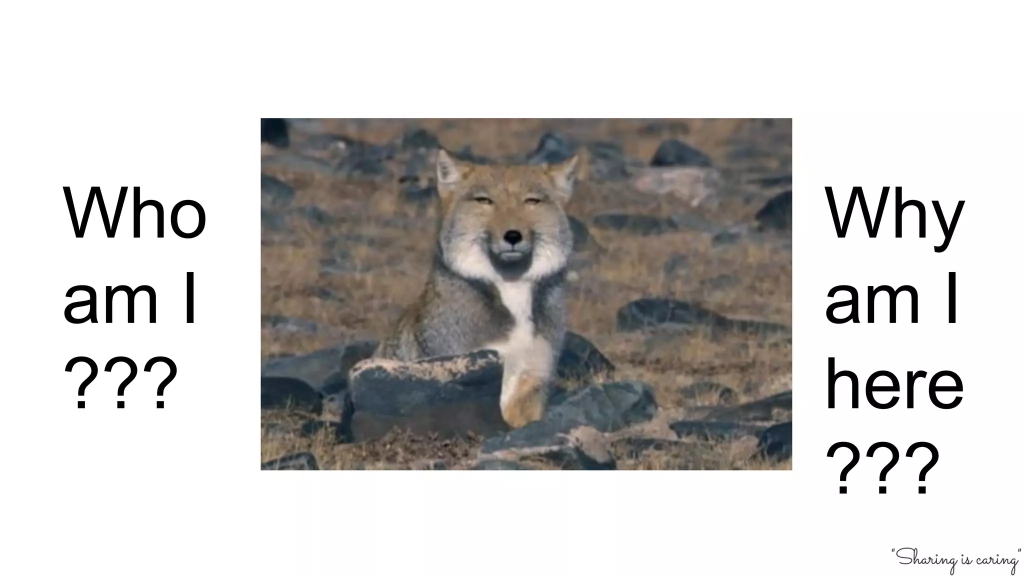 Who
am I
???
Why
am I
here
???
 