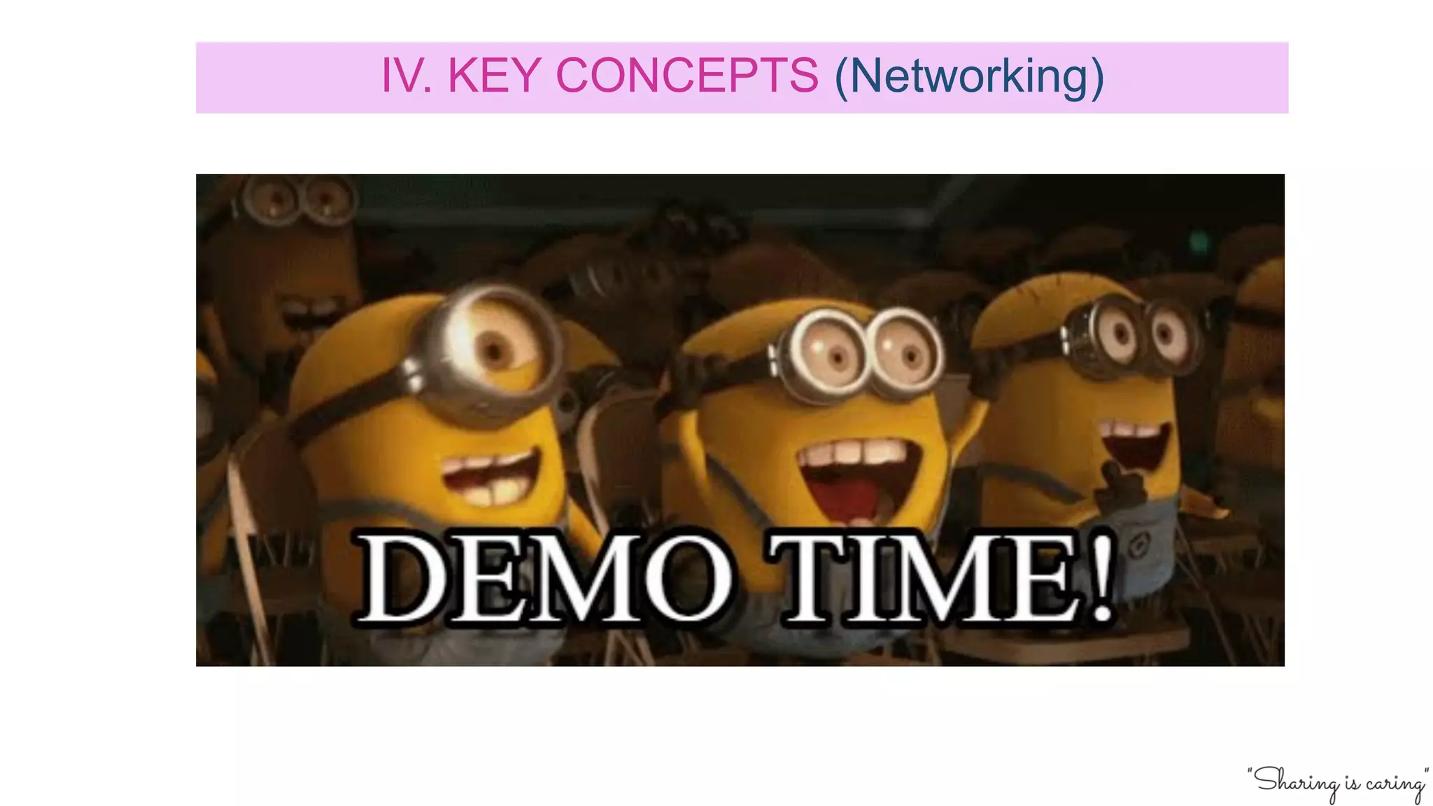 IV. KEY CONCEPTS (Networking)
 