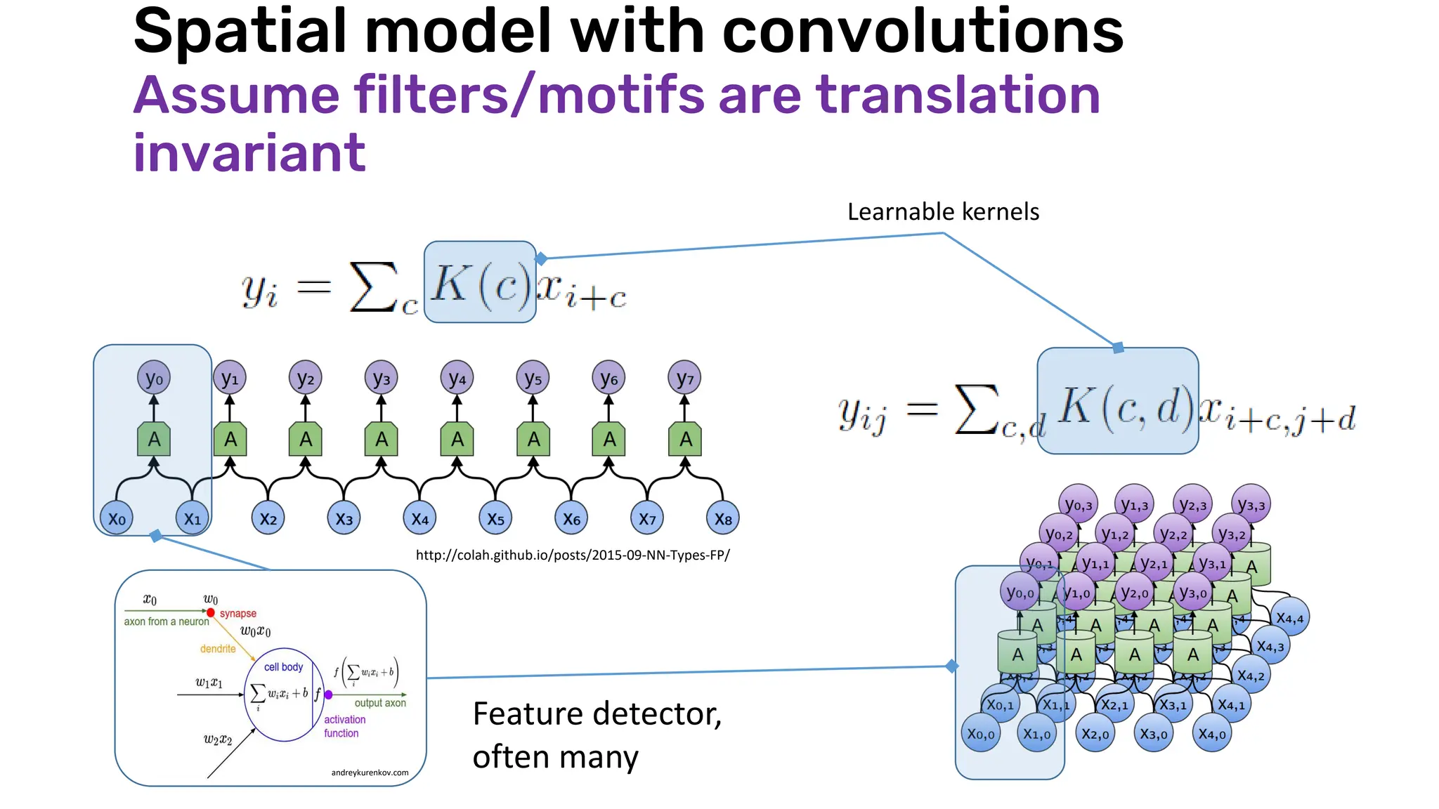 Spatial model with convolutions
Assume filters/motifs are translation
invariant
http://colah.github.io/posts/2015-09-NN-Types-FP/
Learnable kernels
andreykurenkov.com
Feature detector,
often many
 