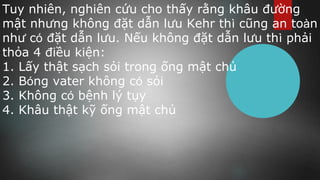 Tuy nhiên, nghiên cứu cho thấy rằng khâu đường
mật nhưng không đặt dẫn lưu Kehr thì cũng an toàn
như có đặt dẫn lưu. Nếu không đặt dẫn lưu thì phải
thỏa 4 điều kiện: 
1. Lấy thật sạch sỏi trong ống mật chủ 
2. Bóng vater không có sỏi 
3. Không có bệnh lý tụy
4. Khâu thật kỹ ống mật chủ
 