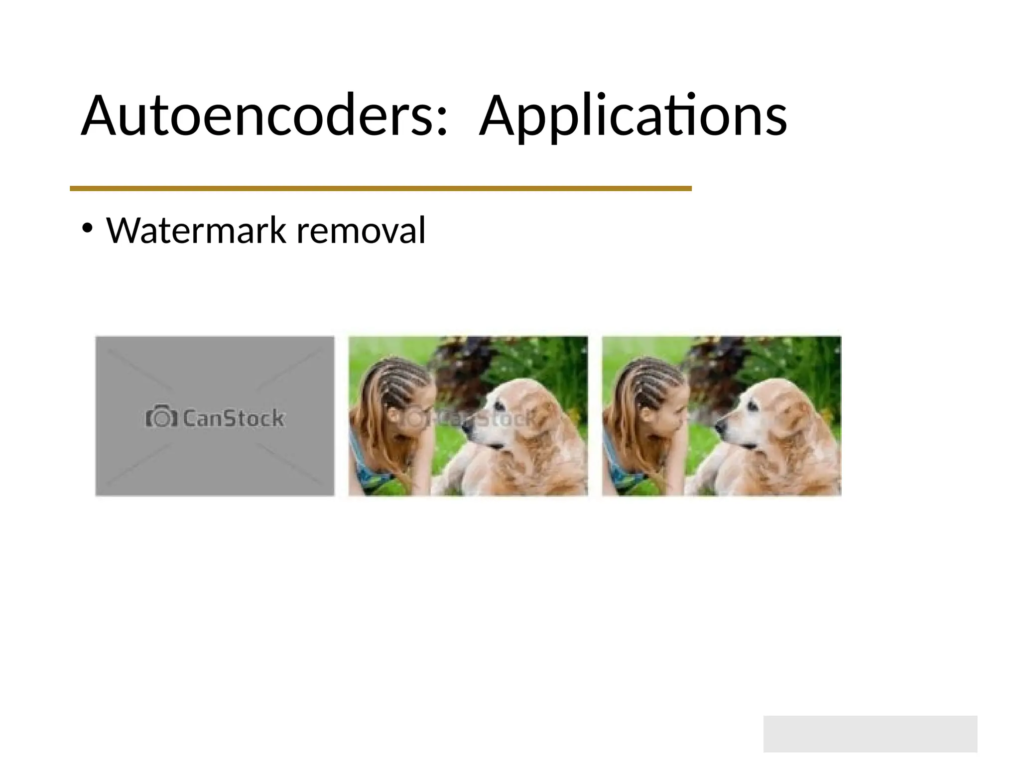 Autoencoders: Applications • Watermark removal 