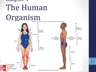 Chapter 1  The Human Organism 1- 