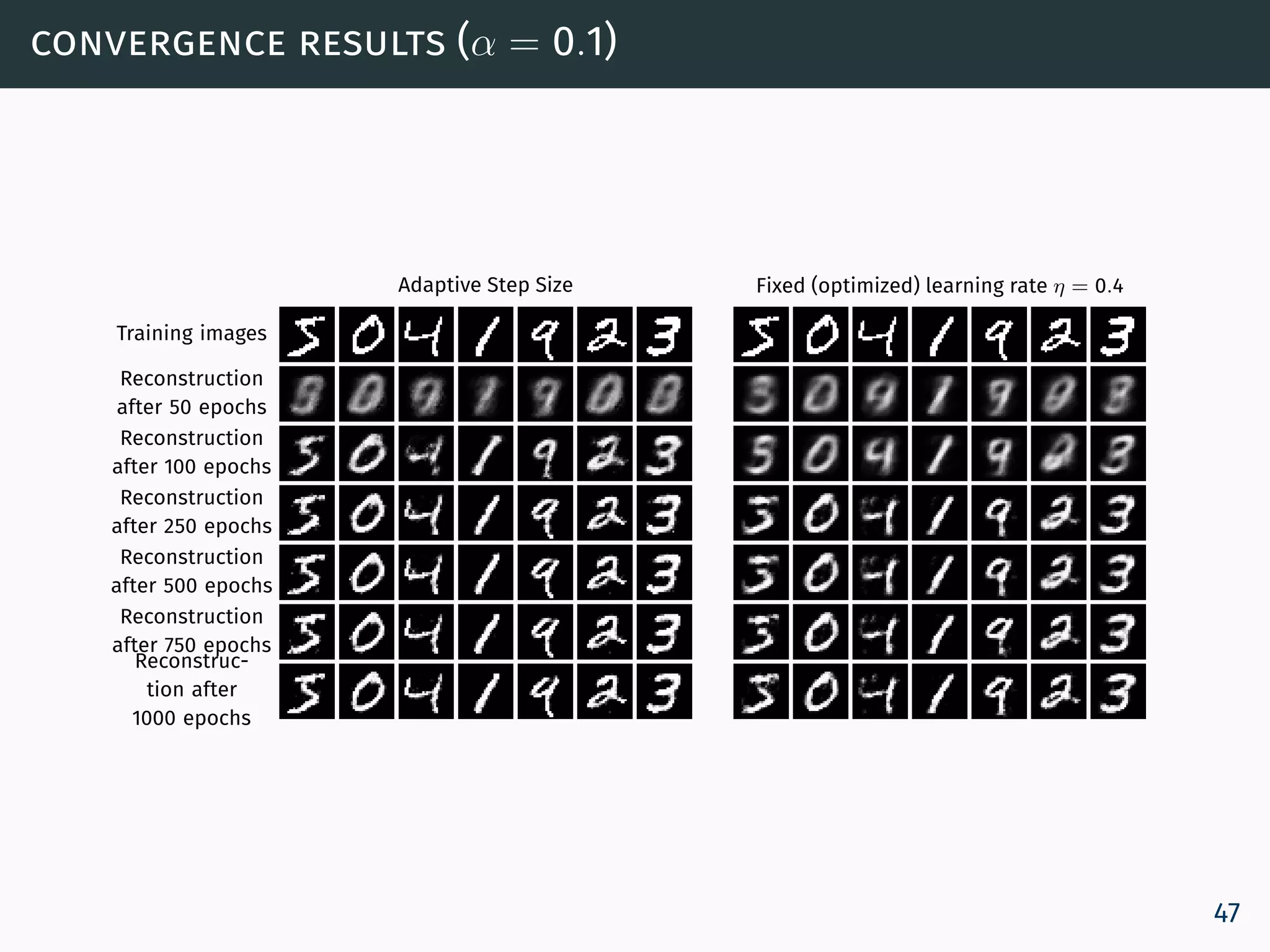 convergence results (α = 0.1)
Training images
Reconstruction
after 50 epochs
Reconstruction
after 100 epochs
Reconstruction
after 250 epochs
Reconstruction
after 500 epochs
Reconstruction
after 750 epochs
Reconstruc-
tion after
1000 epochs
Adaptive Step Size Fixed (optimized) learning rate η = 0.4
47
 