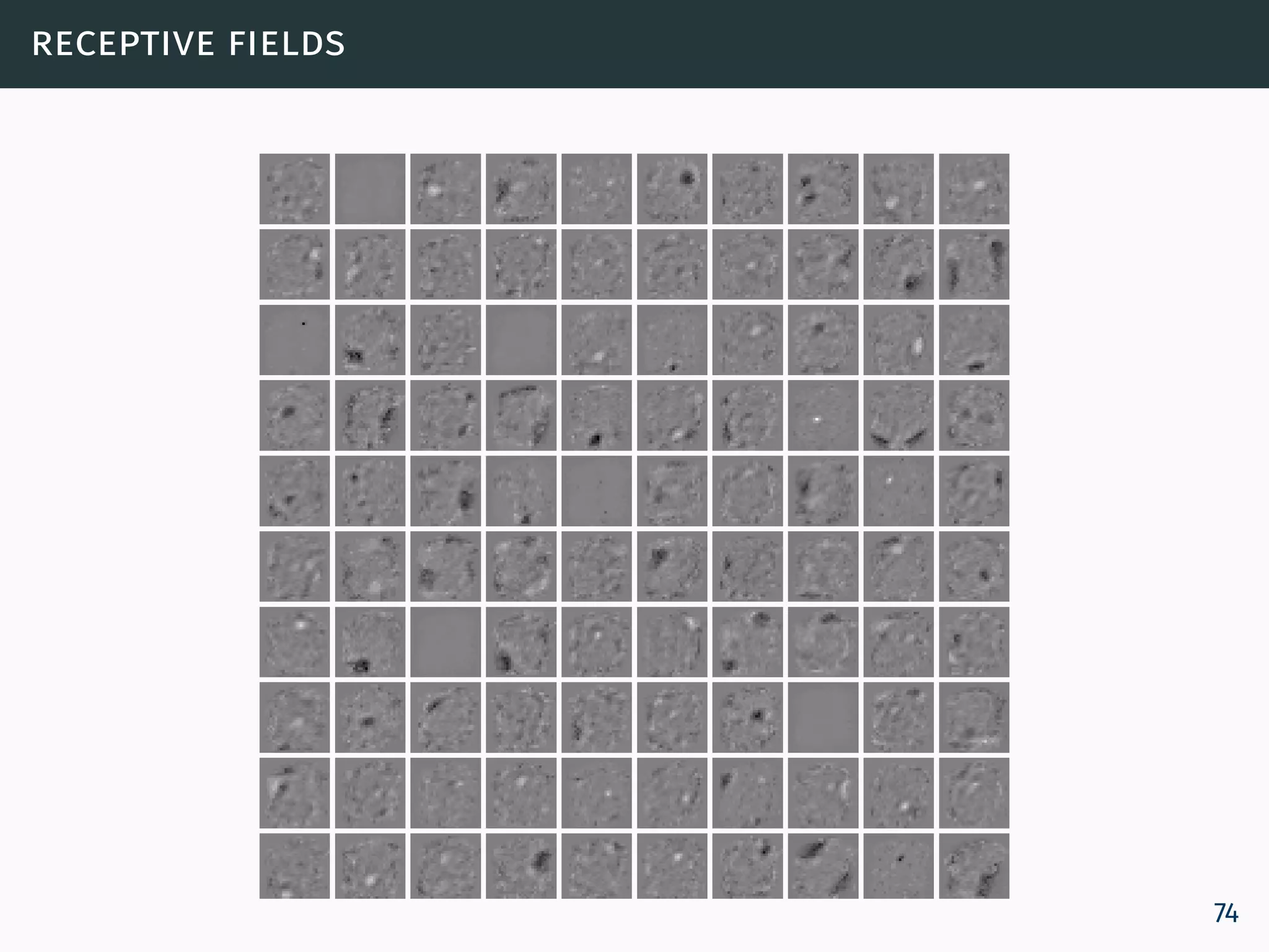 receptive fields
74
 