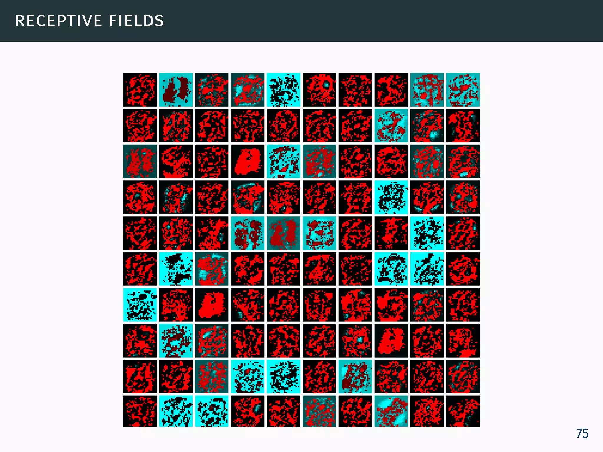 receptive fields
75
 