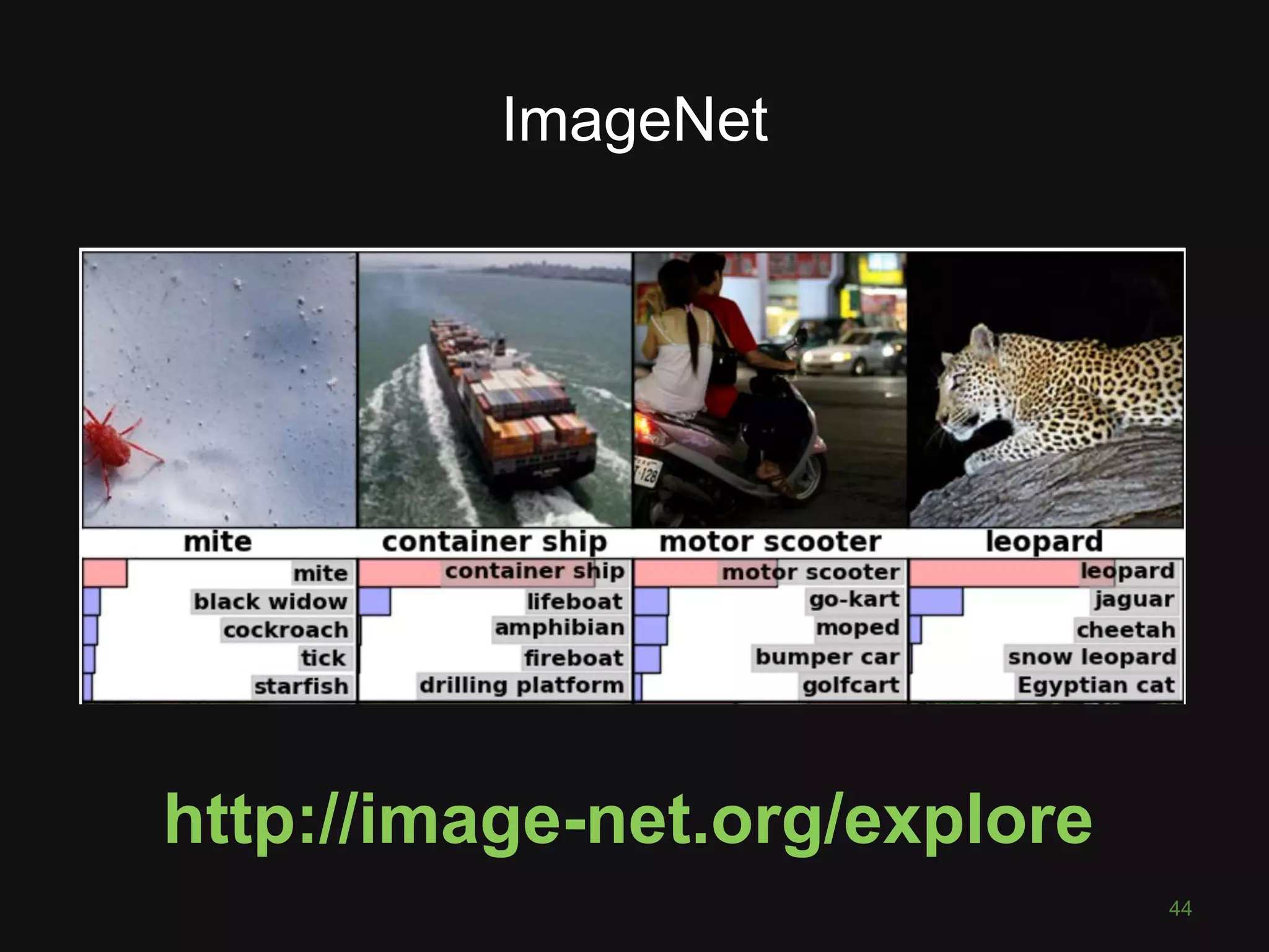 ImageNet 44 http://image-net.org/explore 