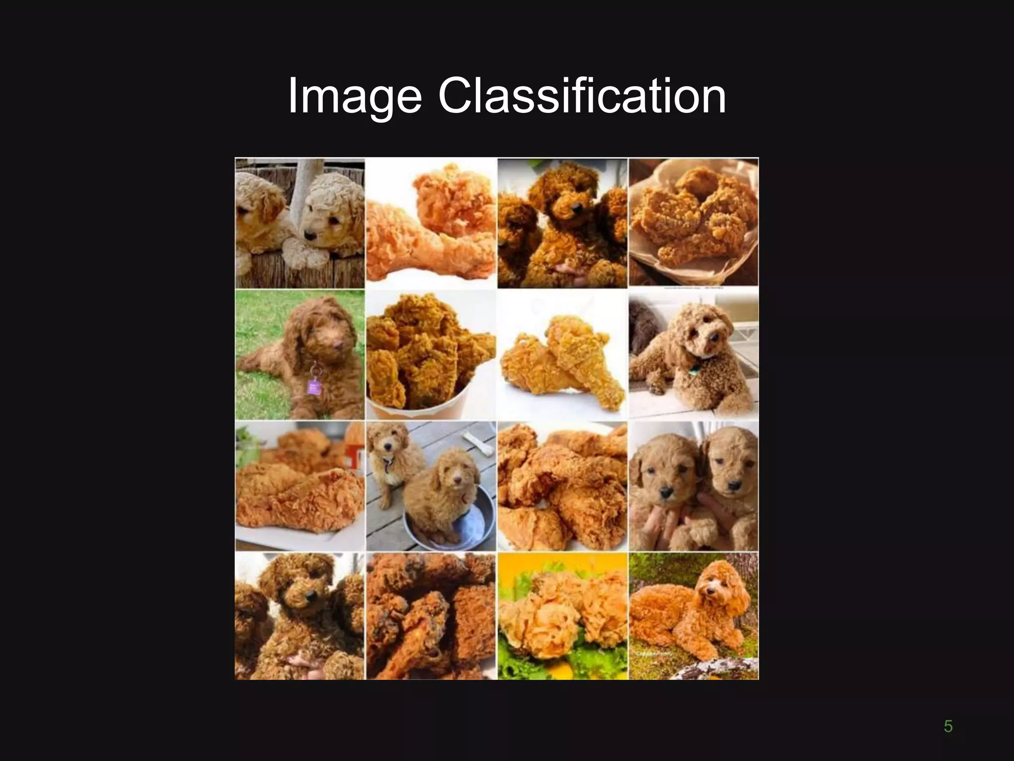 Image Classification 5 