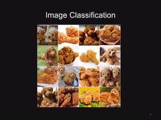 Image Classification
5
 