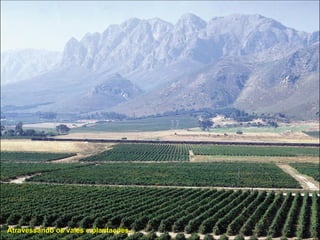 Atravessando os vales e plantações... 