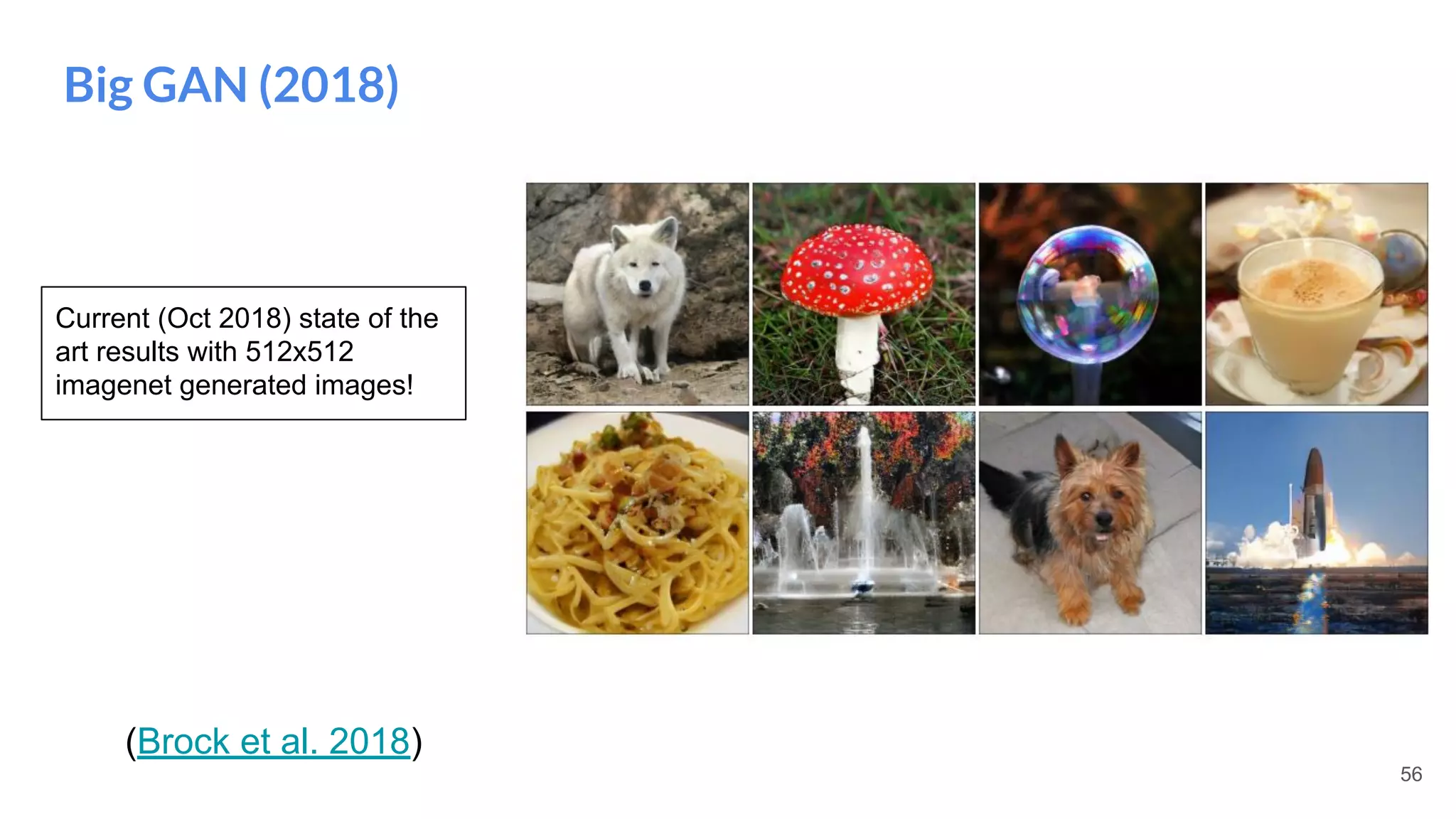 56
Big GAN (2018)
Current (Oct 2018) state of the
art results with 512x512
imagenet generated images!
(Brock et al. 2018)
 