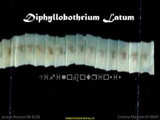 DiphyllobothriumLatum Difilobotriosis Josean Rosario 08-8128 Cristina Marizán 07-0049 PARASITOLOGIA M10 Sec 01 
