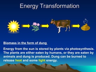 Biomass in the form of dung
Energy from the sun is stored by plants via photosynthesis.
The plants are either eaten by humans, or they are eaten by
animals and dung is produced. Dung can be burned to
release heat and some light energy.
Energy Transformation
Energy Transformation
 