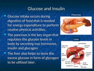 Glucose and Insulin
Glucose and Insulin
 Glucose intake occurs during
Glucose intake occurs during
digestion of food that is needed
digestion of food that is needed
for energy expenditure to perform
for energy expenditure to perform
routine physical activities.
routine physical activities.
 The pancreas is the key organ that
The pancreas is the key organ that
regulates the glucose levels in
regulates the glucose levels in
body by secreting two hormones,
body by secreting two hormones,
insulin and glucagon.
insulin and glucagon.
 The liver also helps to store the
The liver also helps to store the
excess glucose in form of glycogen
excess glucose in form of glycogen
to be utilized later.
to be utilized later.
Pancreas
Liver
 