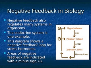 Negative Feedback in Biology
Negative Feedback in Biology
 Negative feedback also
Negative feedback also
regulates many systems in
regulates many systems in
organisms.
organisms.
 The endocrine system is
The endocrine system is
one example.
one example.
 This diagram shows a
This diagram shows a
negative feedback loop for
negative feedback loop for
stress hormones.
stress hormones.
 Areas of negative
Areas of negative
feedback are indicated
feedback are indicated
with a minus sign, (-).
with a minus sign, (-).
 