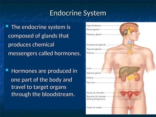 Endocrine System
Endocrine System
 The endocrine system is
The endocrine system is
composed of glands that
composed of glands that
produces chemical
produces chemical
messengers called hormones.
messengers called hormones.
 Hormones are produced in
Hormones are produced in
one part of the body and
one part of the body and
travel to target organs
travel to target organs
through the bloodstream.
through the bloodstream.
 