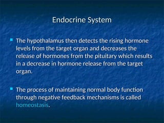 Endocrine System
Endocrine System
 The hypothalamus then detects the rising hormone
The hypothalamus then detects the rising hormone
levels from the target organ and decreases the
levels from the target organ and decreases the
release of hormones from the pituitary which results
release of hormones from the pituitary which results
in a decrease in hormone release from the target
in a decrease in hormone release from the target
organ.
organ.
 The process of maintaining normal body function
The process of maintaining normal body function
through negative feedback mechanisms is called
through negative feedback mechanisms is called
homeostasis
homeostasis.
.
 