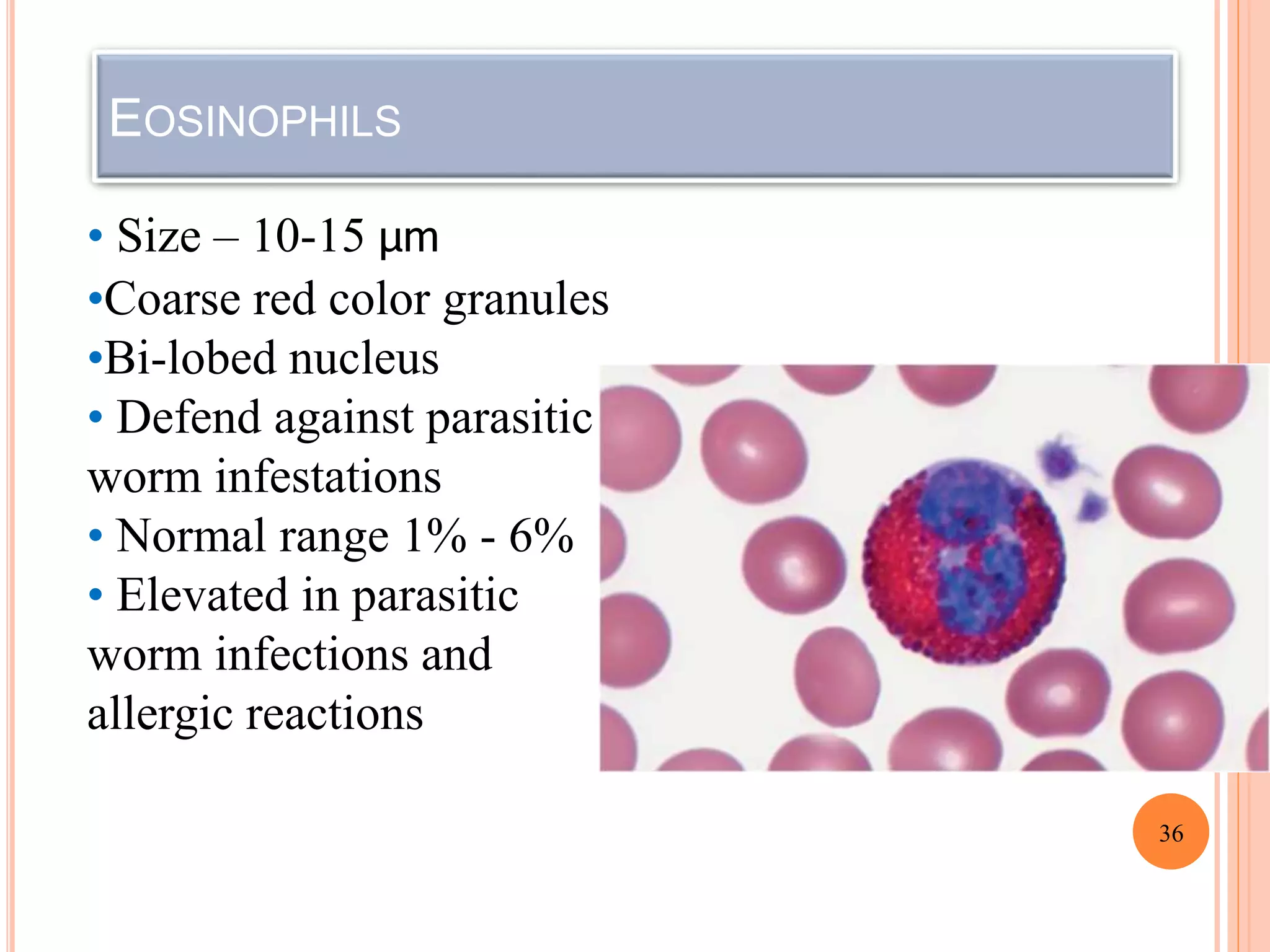 EOSINOPHILS
36
• Size – 10-15 µm
•Coarse red color granules
•Bi-lobed nucleus
• Defend against parasitic
worm infestations
• Normal range 1% - 6%
• Elevated in parasitic
worm infections and
allergic reactions
 