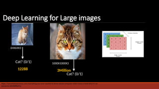 Helpfull for Data Analystics, using Deep Learning | PPTX