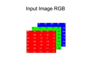 Input Image RGB
 