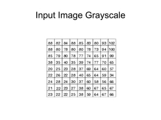 Input Image Grayscale
 