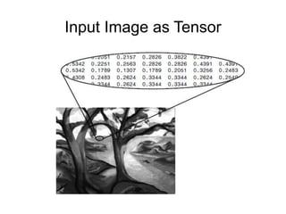 Input Image as Tensor
 