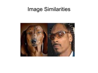Image Similarities
 
