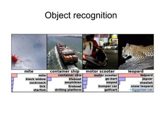 Object recognition
 