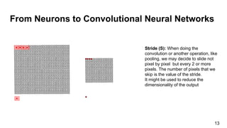 From Neurons to Convolutional Neural Networks
Stride (S): When doing the
convolution or another operation, like
pooling, we may decide to slide not
pixel by pixel but every 2 or more
pixels. The number of pixels that we
skip is the value of the stride.
It might be used to reduce the
dimensionality of the output
13
 